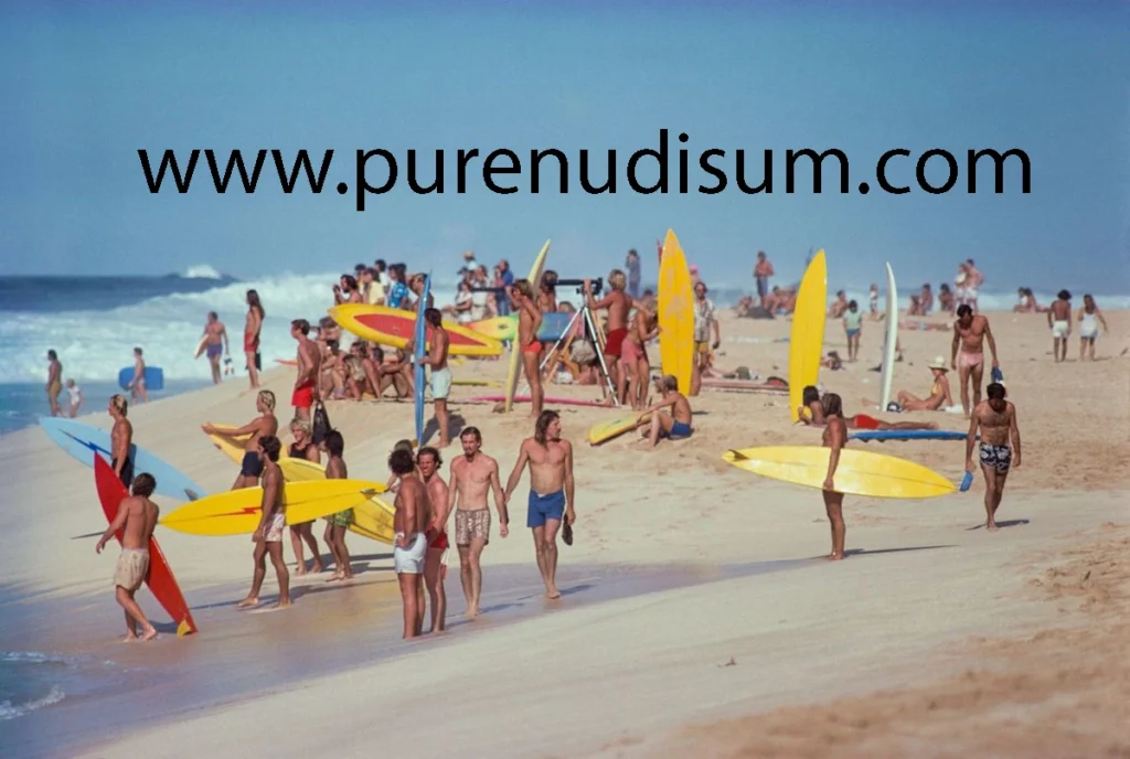 www.purenudisum.com