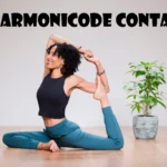 The History and Significance of 646-569-9288 Numbers