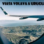 The History and Significance of 646-569-9288 Numbers