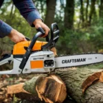 Eila Mary Matt: Exploring the Artistic Legacy