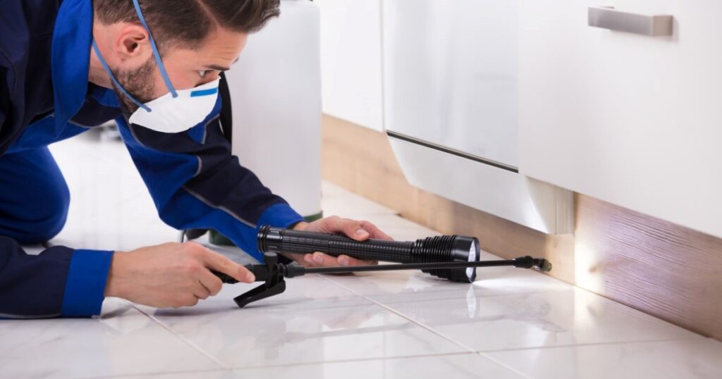 Regular Pest Control Inspections