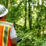 The Importance of Reliable Electrical Services: Spotlight on Braytech Electrical