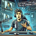 The delightful world of stroopwafels